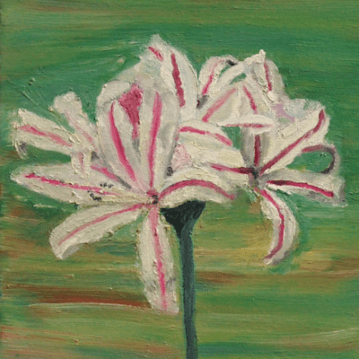 べいぶのジャケット写真