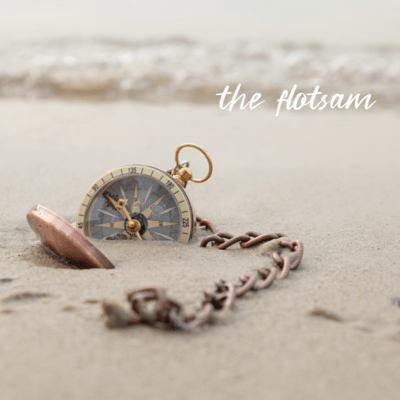 the flotsam Front Cover