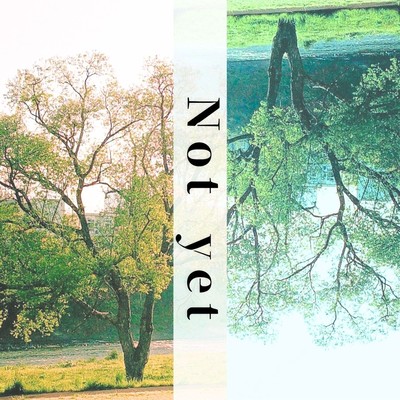 Not yetのジャケット写真