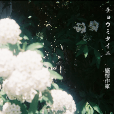 Chomitaini Front Cover