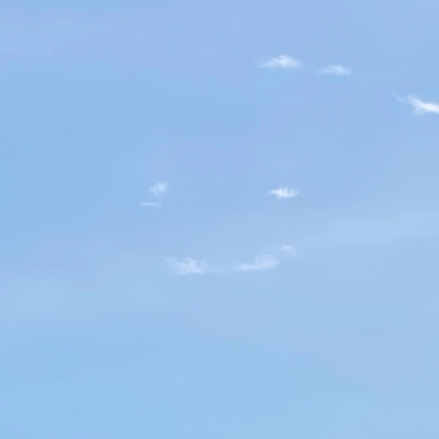 バカなフリをしてるのジャケット写真