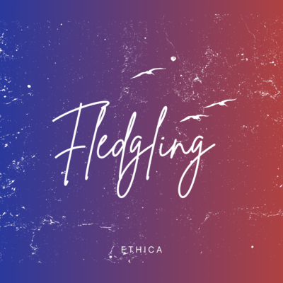 Fledglingのジャケット写真