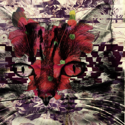 Morpho and wind Front Cover