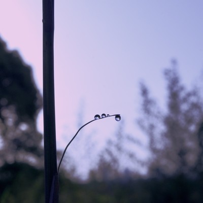 雨流ルのジャケット写真