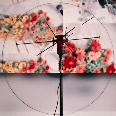 たしか、こんな綺麗事。のジャケット写真