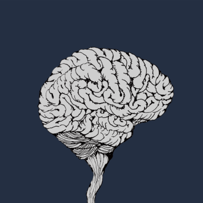 Violations in the Sonic Realm, and Such Front Cover