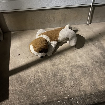 in the middle of nap Front Cover