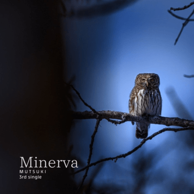 Minerva Front Cover
