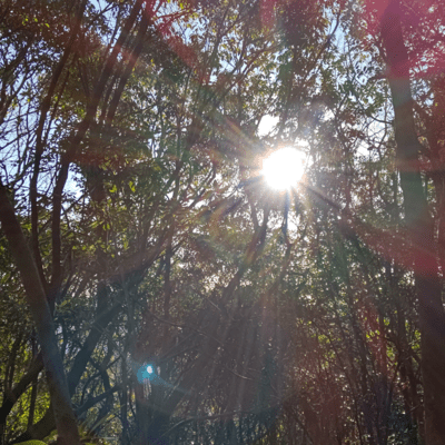 saturday Front Cover