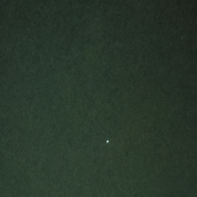 或る (Remix)のジャケット写真