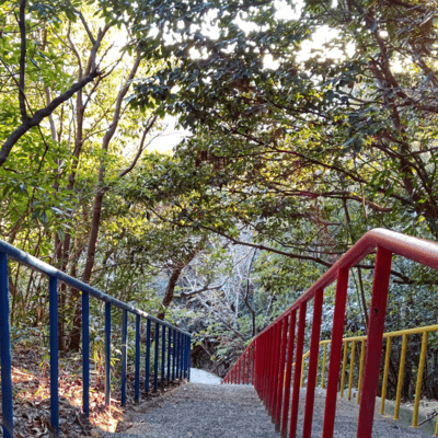 My carnation on Saturday (Instrumental) Front Cover