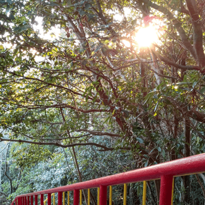 saturday (Remix) Front Cover