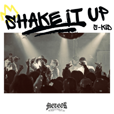 shake it up Front Cover
