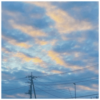 late summer/siren Front Cover