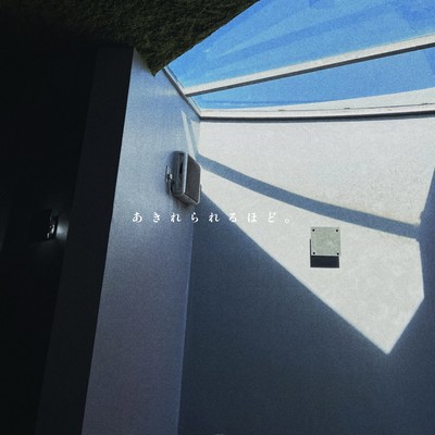 no matter what you say. Front Cover