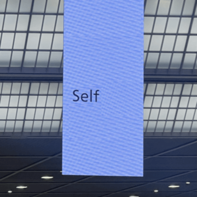SELFのジャケット写真