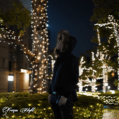 Frozen Night Front Cover