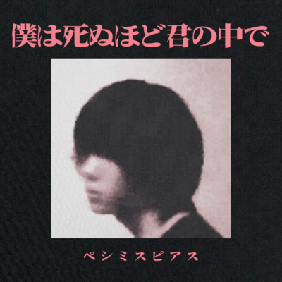 僕は死ぬほど君の中でのジャケット写真