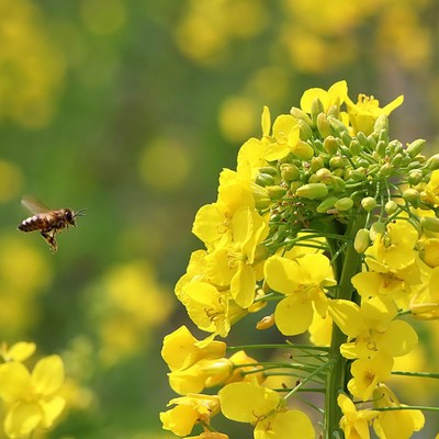 Let's live with trembling Front Cover