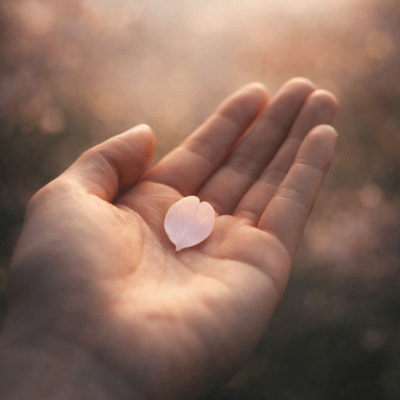 Spring is already here Front Cover