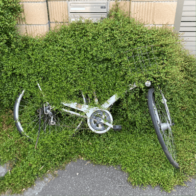 裸足のジャケット写真