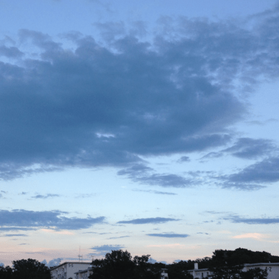 ガムのジャケット写真