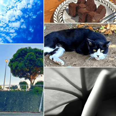 Copyのジャケット写真