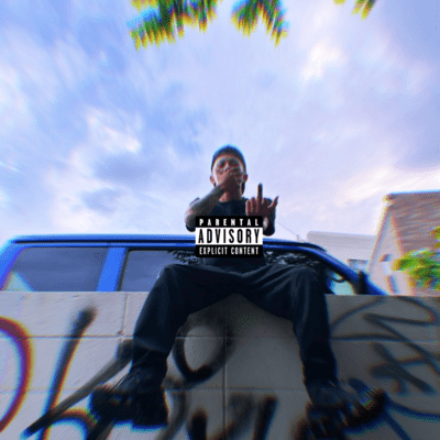 My voice Front Cover