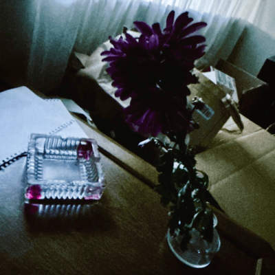 紫苑のジャケット写真