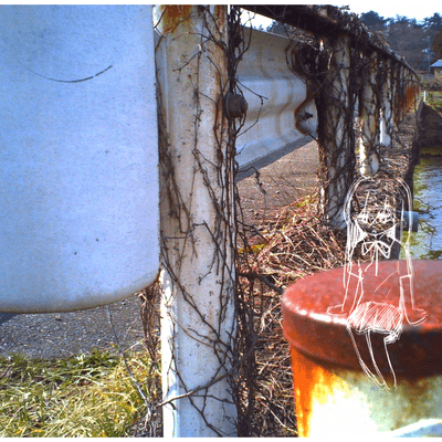 Juvenile Shujō Ekō Front Cover