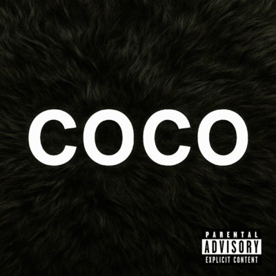 COCO CHANEL Front Cover