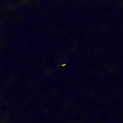 night fantasy (feat. HATSUNE MIKU) Front Cover