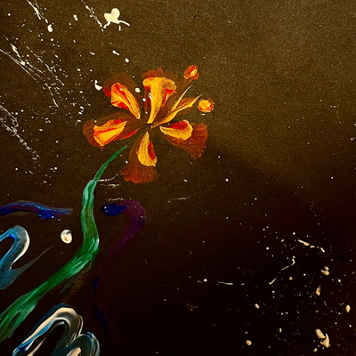 TOITOITO Front Cover