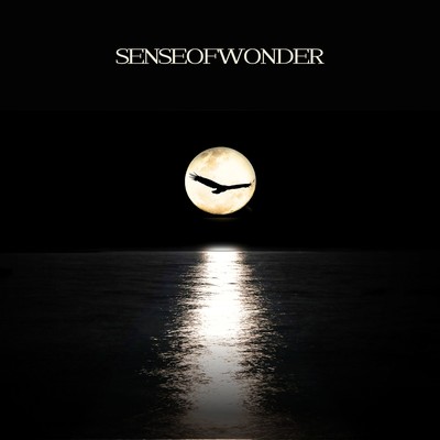 Senseofwonderのジャケット写真