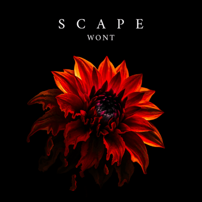 SCAPE Front Cover