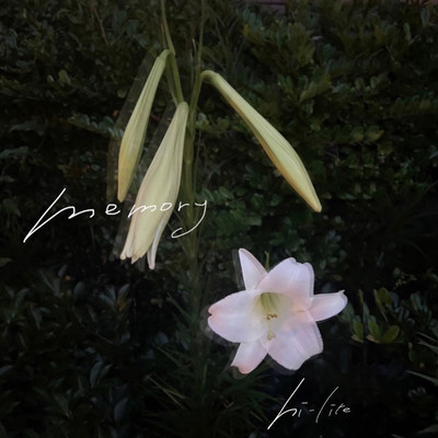 memory Front Cover