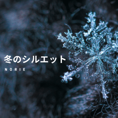 Winter silhouette Front Cover