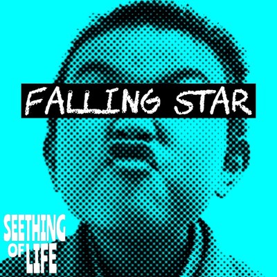 Falling star Front Cover