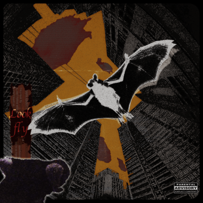 Look fly (feat. Lomy Col & RUIZ) Front Cover