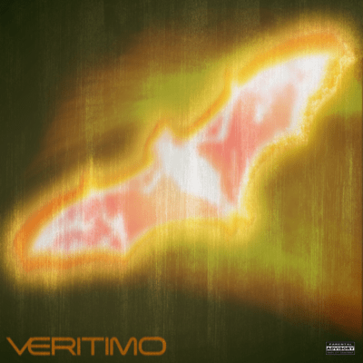 VERITIMO Front Cover