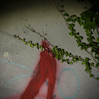 Cut coarselyのジャケット写真