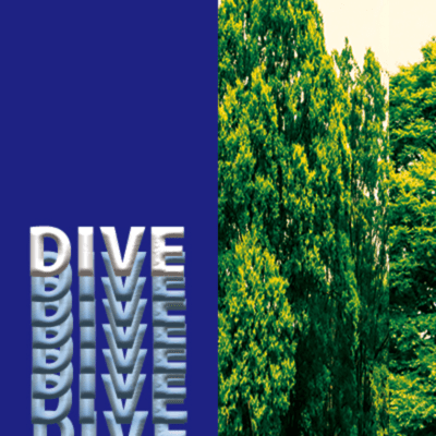 DIVE / DEAD BATTERY Front Cover