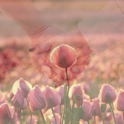 There is something there Front Cover