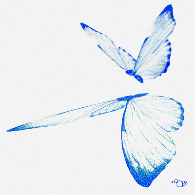 Bald vs Tall Front Cover