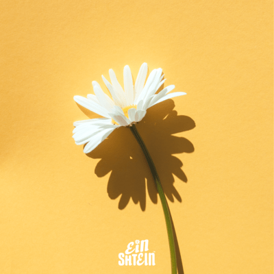 UNNMEI Front Cover
