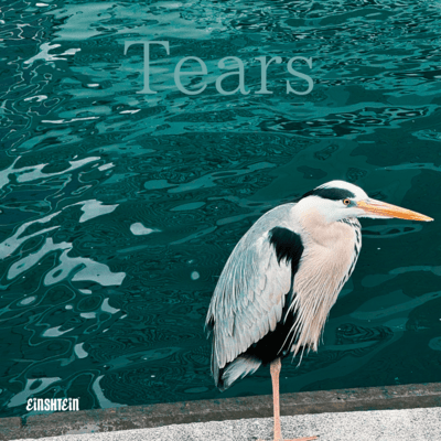 Tears Front Cover