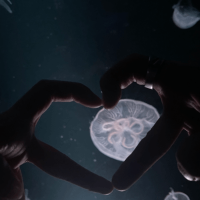 MY SADのジャケット写真