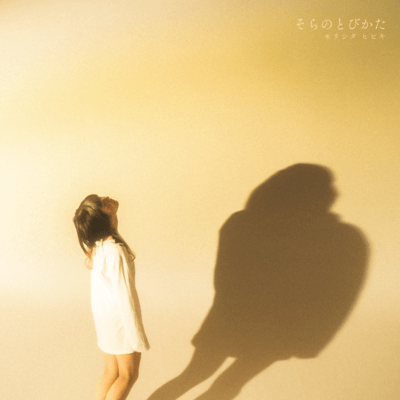 How to fly in the sky Front Cover