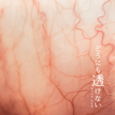 どうにも透けないのジャケット写真