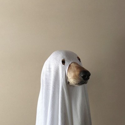 obsession Front Cover